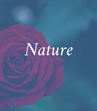 categories-nature